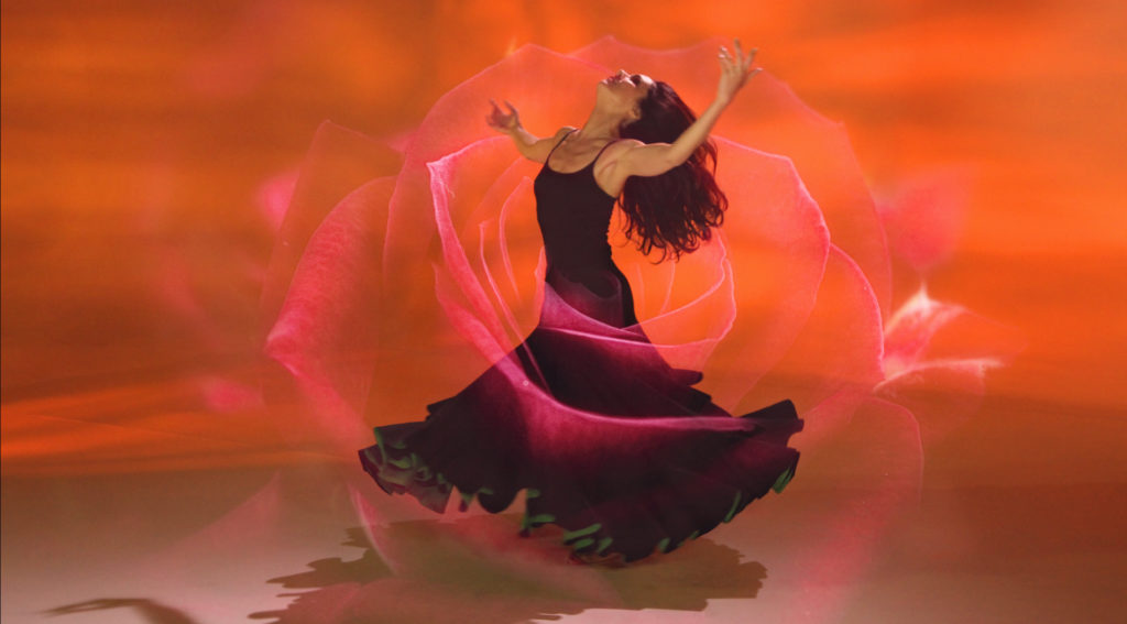 Path-of-the-Dancer3-1024x567_2-2.jpg
