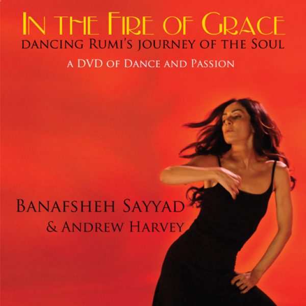 In the fire of grace film cover